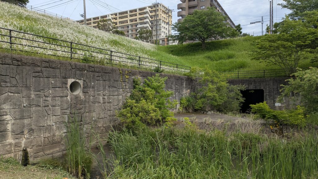 緑の丘と草花に囲まれた石造りの壁とトンネルの入口がある風景