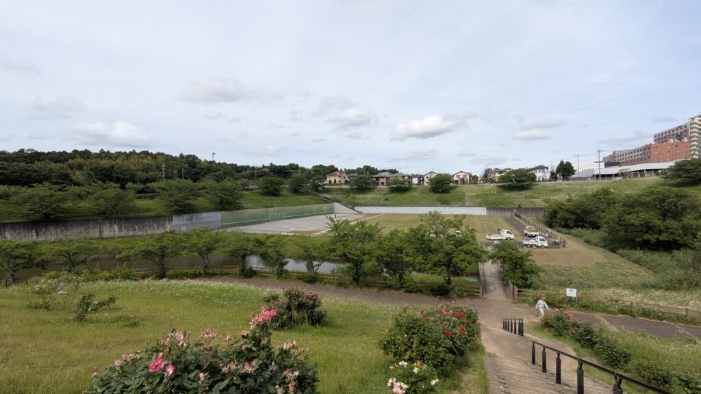 緑豊かな公園の風景、下方に小道とバラの花、奥にはテニスコートと一部の建物が見える