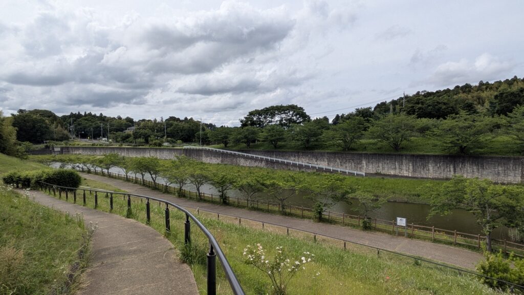 公園の斜面を下りる道と池が見える風景。周囲には緑豊かな木々があり、曇り空が広がる。
