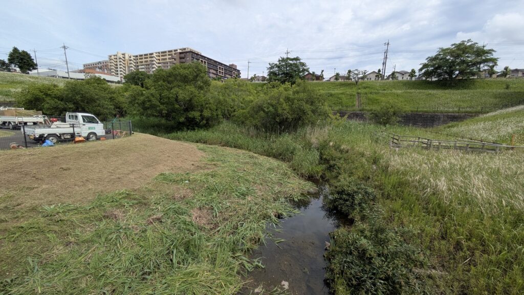 緑豊かな河川と周囲の草地、背景にアパートが見える風景