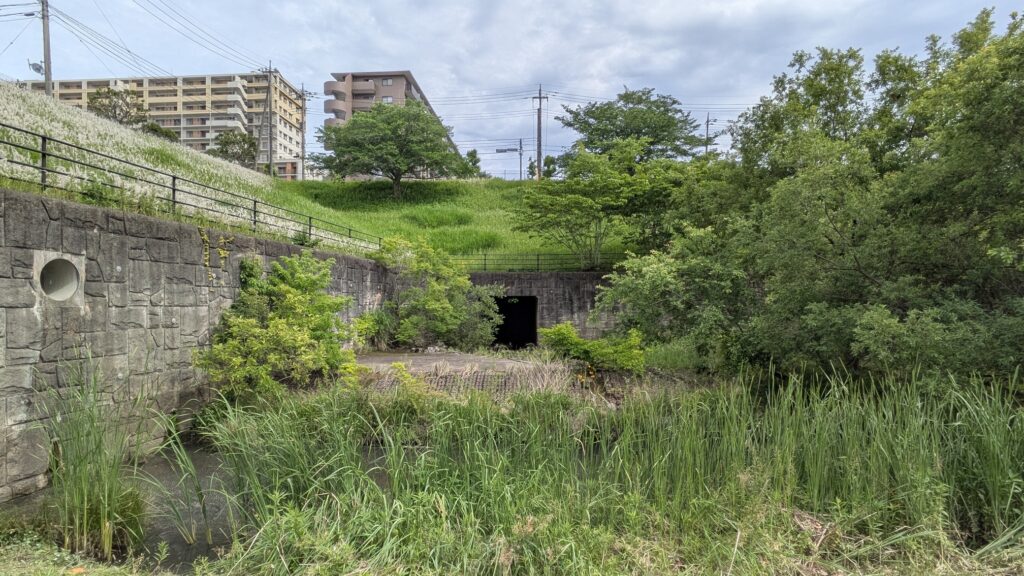 緑豊かな風景の中にある暗いトンネルの入り口と周囲の植物