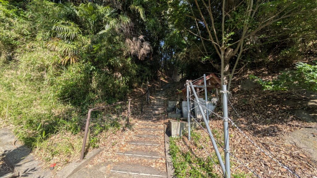 緑の木々に囲まれた階段が上へ続いている風景