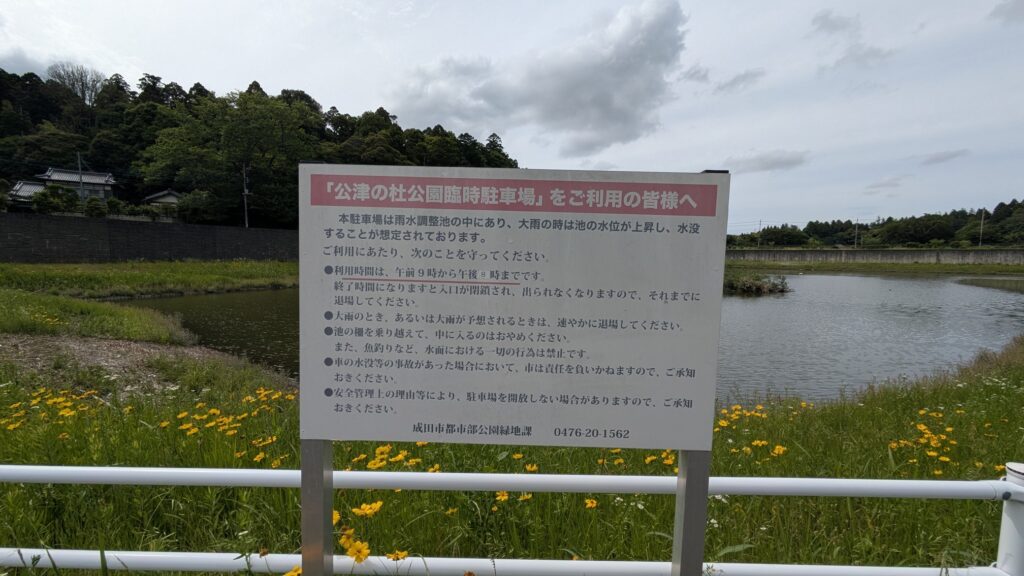 公津の杜公園の案内看板と池の景色。池の周囲には黄色い花が咲いており、緑豊かな木々が背景に広がっています。
