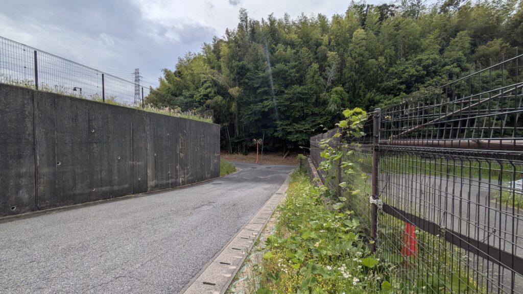 緑豊かな森林の近くの道路の分岐点の風景。左側にはコンクリートの壁があり、右側にはフェンスがあります。