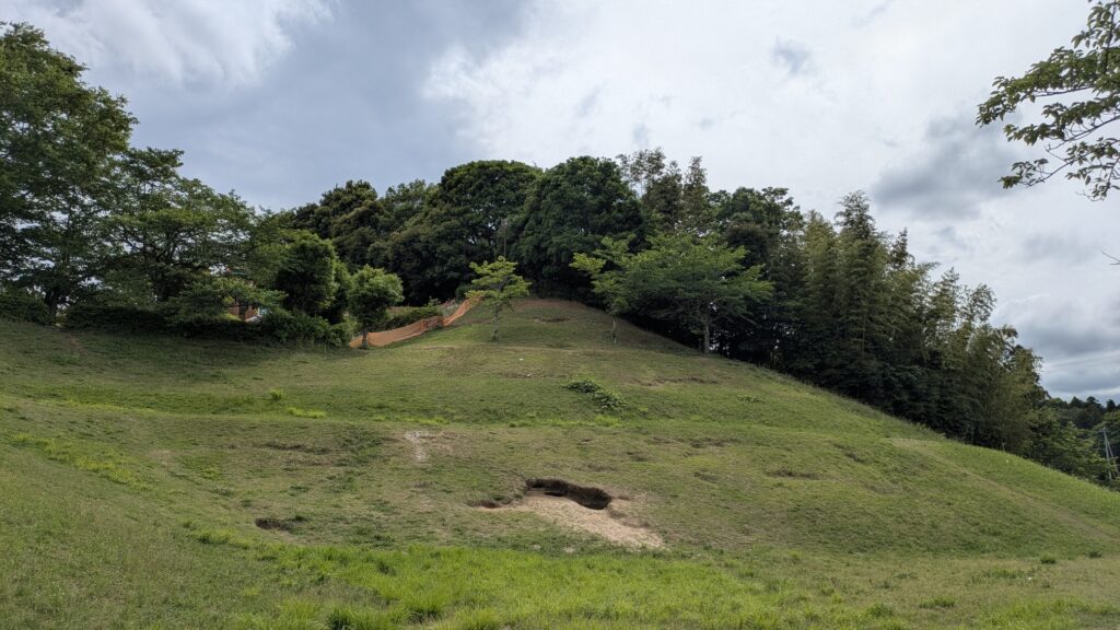 緑の丘と高木がある風景。曇り空が広がっている。