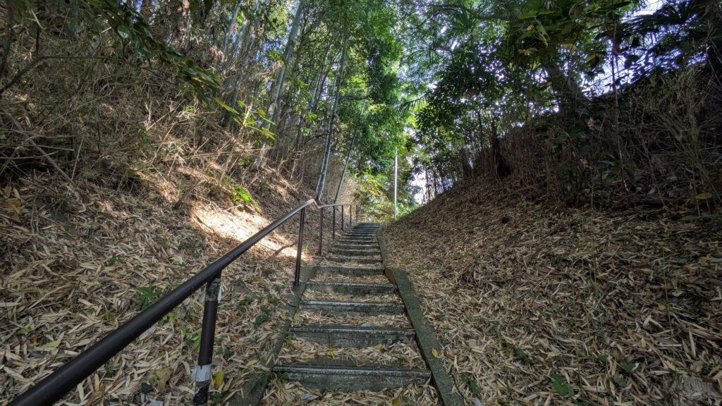 緑に囲まれた階段の風景、上に向かって傾斜があり、手すりが付いている