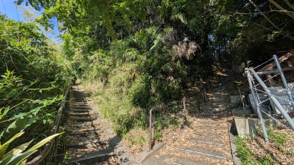 緑に囲まれた二方向に分かれた階段の風景。左側は階段が続き、右側はさらに上へ行く道がある。