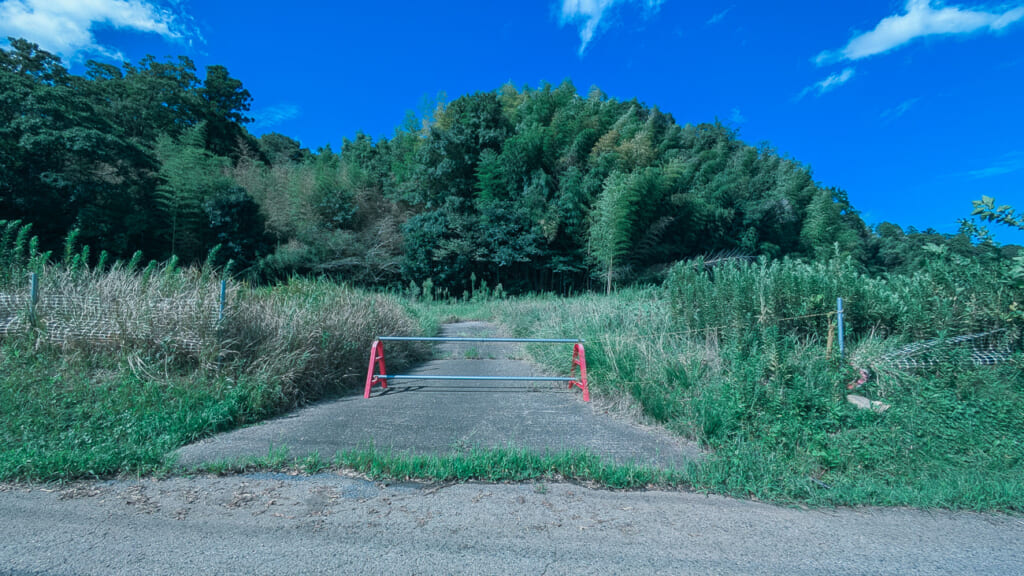芝山町菱田の辺田集落跡、旧芝山湧水の里付近の現況。右側にピンクのリボンを付けた杭が立つ（2026年9月撮影）
