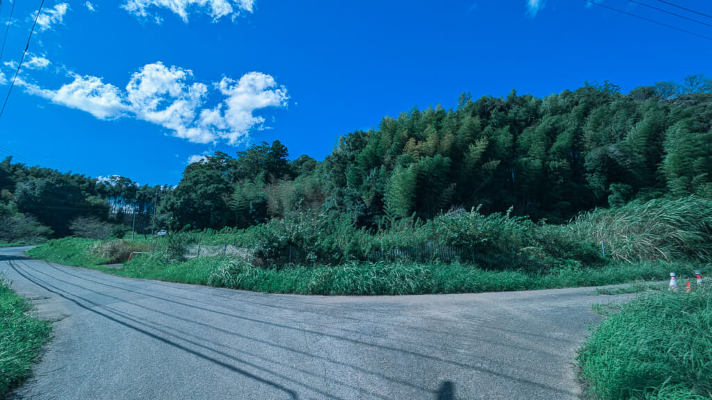 人も車も通らない芝山町菱田・辺田集落跡の風景（2026年9月撮影）